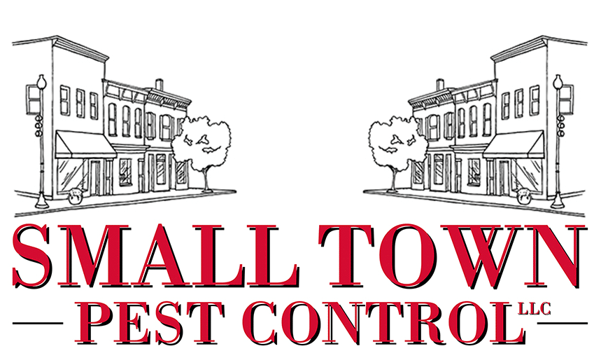 Small Town Pest Control in Lexington, GA